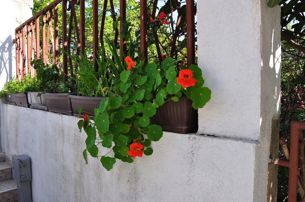 Guest House Marojevic Igalo Exterior foto
