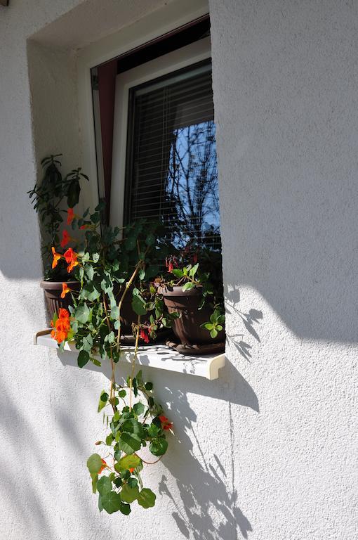 Guest House Marojevic Igalo Exterior foto